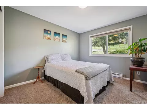 113 Bluebird Ln, Bailey, CO 80421 photo 14