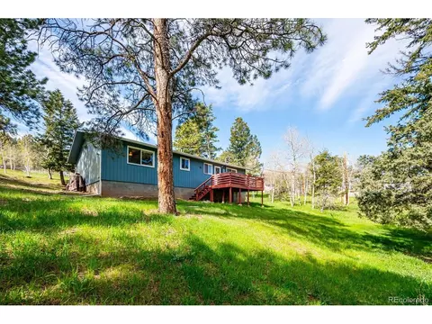 113 Bluebird Ln, Bailey, CO 80421 photo 21