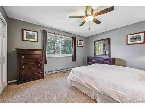 113 Bluebird Ln, Bailey, CO 80421 photo 12