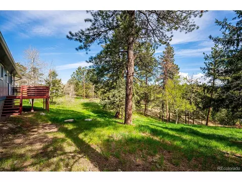 113 Bluebird Ln, Bailey, CO 80421 photo 20