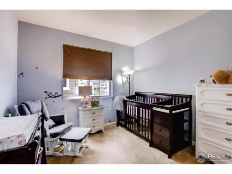 11243 Ebony St, Firestone, CO 80504 photo 21