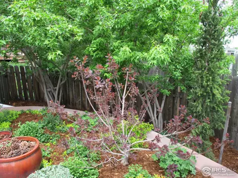 3342 Sentinel Dr, Boulder, CO 80301 photo 17