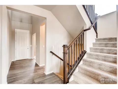 5208 Alberta Falls St, Timnath, CO 80547 photo 18