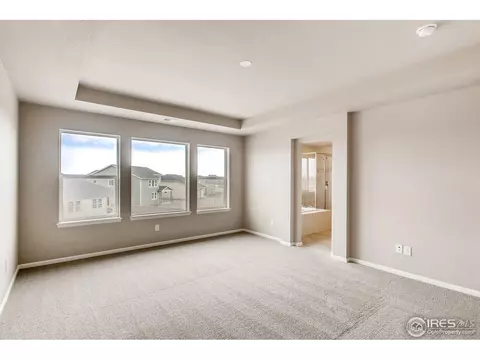 5208 Alberta Falls St, Timnath, CO 80547 photo 14