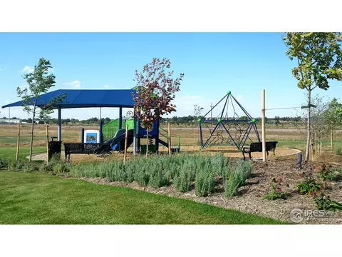 5208 Alberta Falls St, Timnath, CO 80547 photo 28