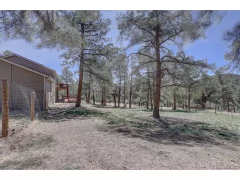 148 Camprobber Ct, Bailey, CO 80421 photo 32