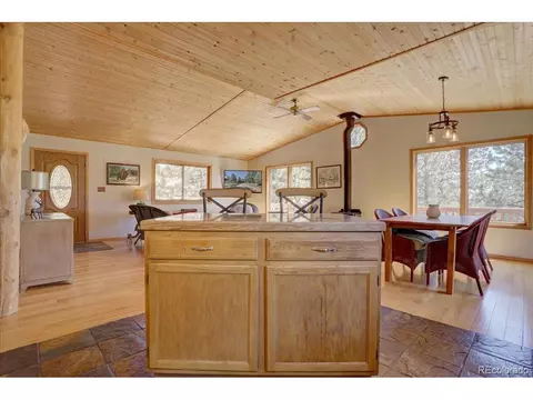 148 Camprobber Ct, Bailey, CO 80421 photo 9