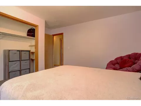 148 Camprobber Ct, Bailey, CO 80421 photo 15