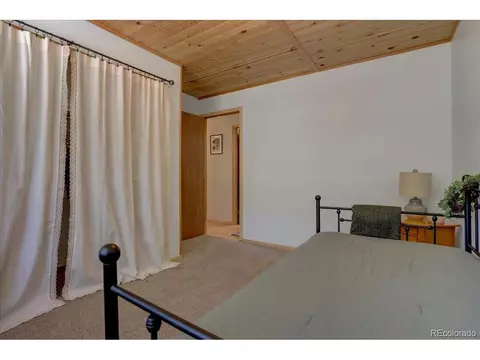 148 Camprobber Ct, Bailey, CO 80421 photo 18