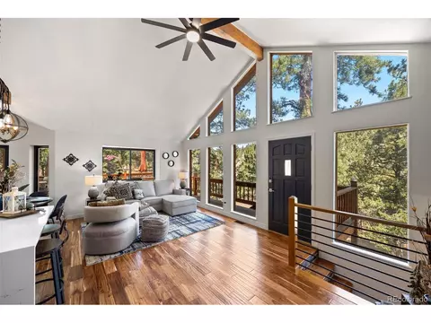 55 Sleepy Hollow Dr, Bailey, CO 80421 photo 7
