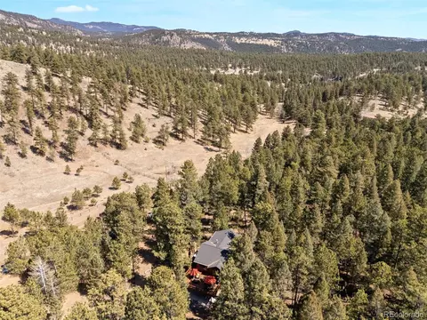 55 Sleepy Hollow Dr, Bailey, CO 80421 photo 36