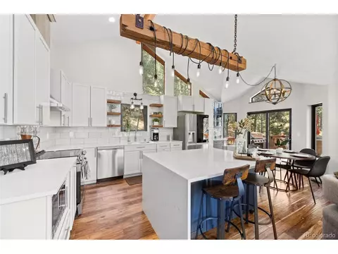 55 Sleepy Hollow Dr, Bailey, CO 80421 photo 11