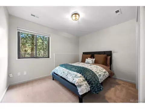 55 Sleepy Hollow Dr, Bailey, CO 80421 photo 22