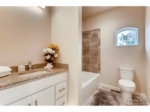 16036 E 10th Pl, Aurora, CO 80011 photo 20