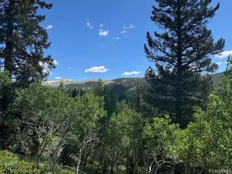 74 Aspen Way, Alma, CO 80420