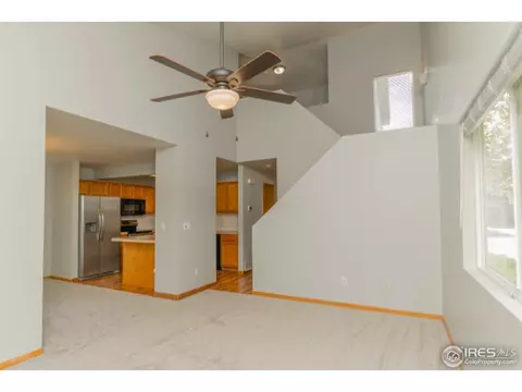 721 Apple Ct, Windsor, CO 80550 photo 5