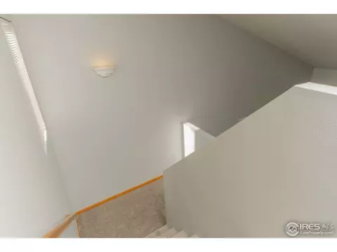 721 Apple Ct, Windsor, CO 80550 photo 9