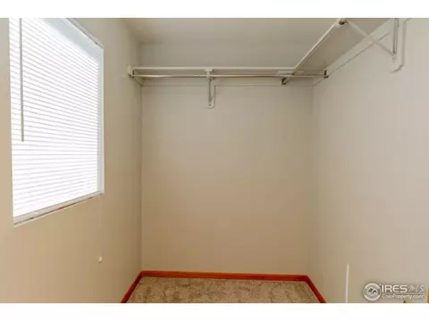 721 Apple Ct, Windsor, CO 80550 photo 13