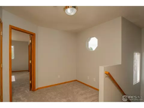 721 Apple Ct, Windsor, CO 80550 photo 19