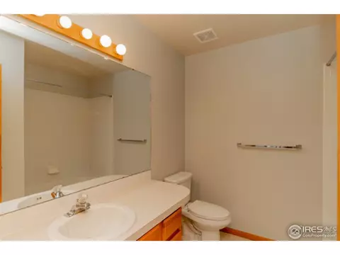 721 Apple Ct, Windsor, CO 80550 photo 17