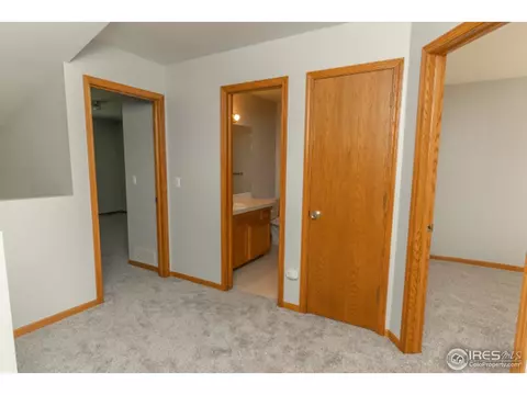 721 Apple Ct, Windsor, CO 80550 photo 12