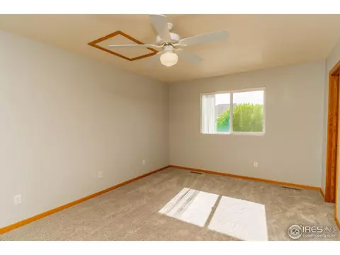 721 Apple Ct, Windsor, CO 80550 photo 10