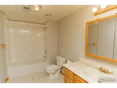 721 Apple Ct, Windsor, CO 80550 photo 23