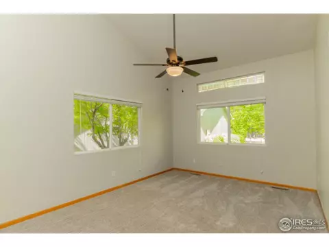721 Apple Ct, Windsor, CO 80550 photo 4