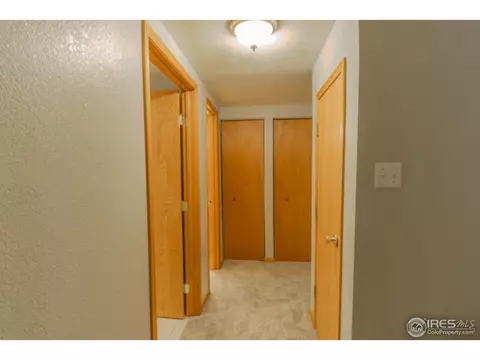 721 Apple Ct, Windsor, CO 80550 photo 20