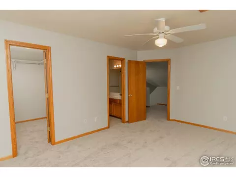 721 Apple Ct, Windsor, CO 80550 photo 11