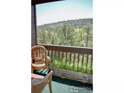 260 Iroquois, Lyons, CO 80540 photo 31