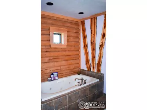 260 Iroquois, Lyons, CO 80540 photo 21