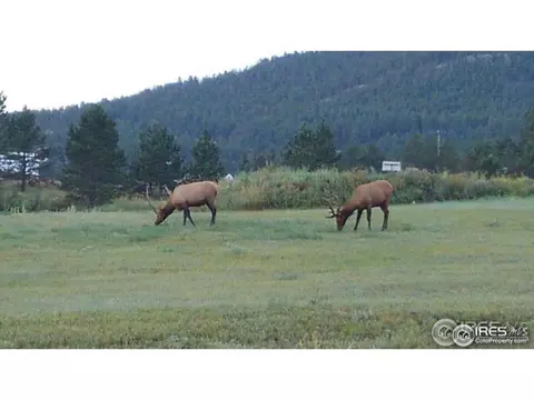260 Iroquois, Lyons, CO 80540 photo 35