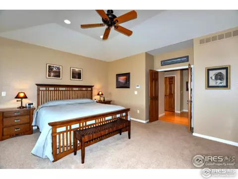 1504 Arroyo Dr, Windsor, CO 80550 photo 24