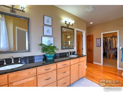 1504 Arroyo Dr, Windsor, CO 80550 photo 23