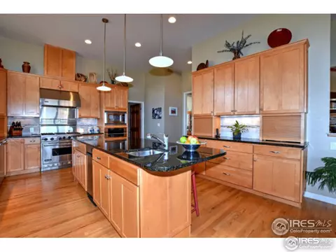 1504 Arroyo Dr, Windsor, CO 80550 photo 15