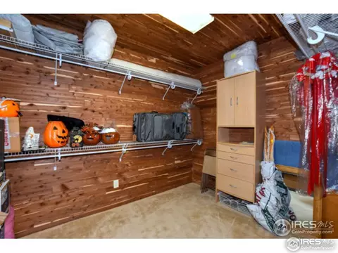 1504 Arroyo Dr, Windsor, CO 80550 photo 34