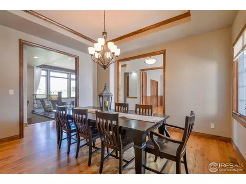 5724 Pineview Ct, Windsor, CO 80550 photo 10