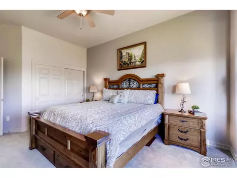 1149 Paramount Dr, Berthoud, CO 80513 photo 19