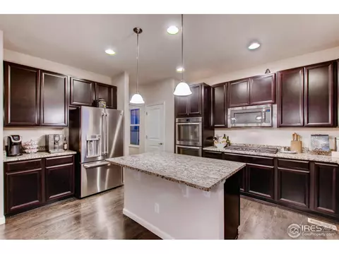 139 Beluga Dr, Windsor, CO 80550 photo 4