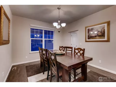 139 Beluga Dr, Windsor, CO 80550 photo 8