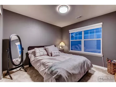 139 Beluga Dr, Windsor, CO 80550 photo 13