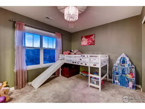 139 Beluga Dr, Windsor, CO 80550 photo 17