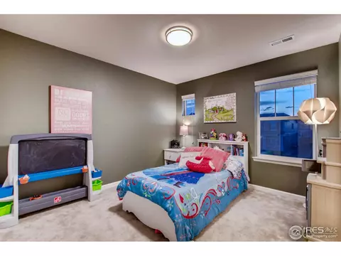 139 Beluga Dr, Windsor, CO 80550 photo 15