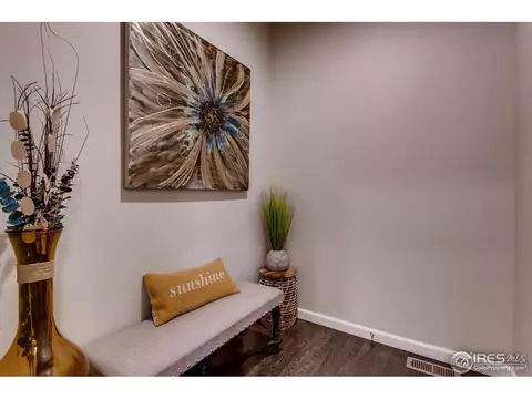 139 Beluga Dr, Windsor, CO 80550 photo 18