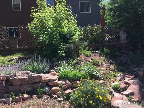 644 2nd Ave, Lyons, CO 80540 photo 39