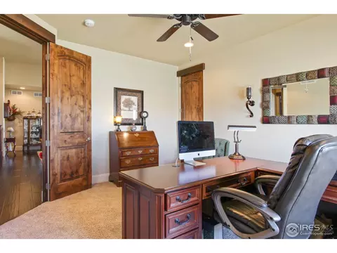 6695 Murano Dr, Windsor, CO 80550 photo 20