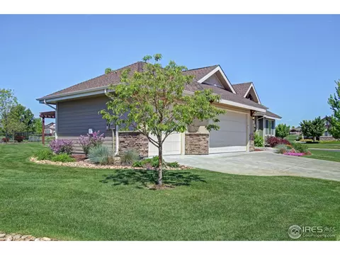 6695 Murano Dr, Windsor, CO 80550 photo 3