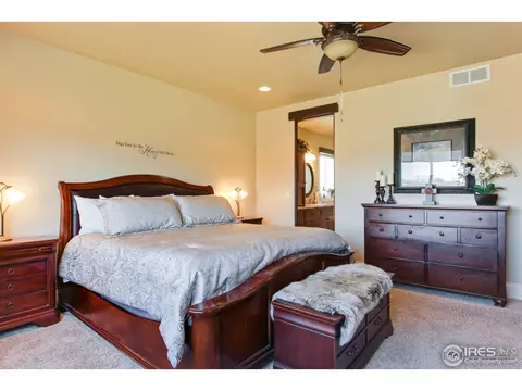 6695 Murano Dr, Windsor, CO 80550 photo 22
