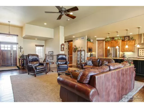 6695 Murano Dr, Windsor, CO 80550 photo 9